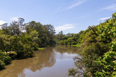 So Paulo, Brezilya 'daki Ibirapuera Parkı - 30 Aralık 2025 Sao Paulo' daki Ibirapuera Parkı.
