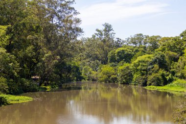 So Paulo, Brezilya 'daki Ibirapuera Parkı - 30 Aralık 2025 Sao Paulo' daki Ibirapuera Parkı.