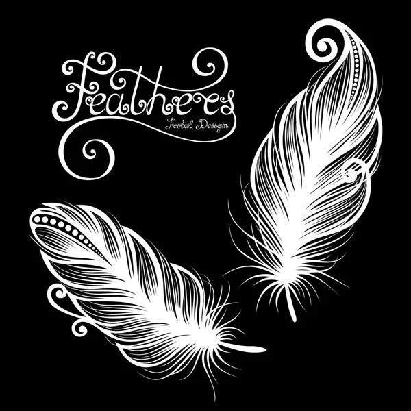 Peerless Decorative Feather — Stock Vector