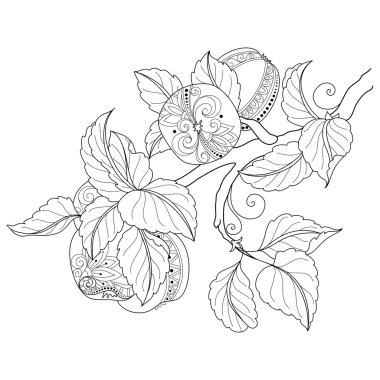 Sorunsuz tek renkli meyve deseni