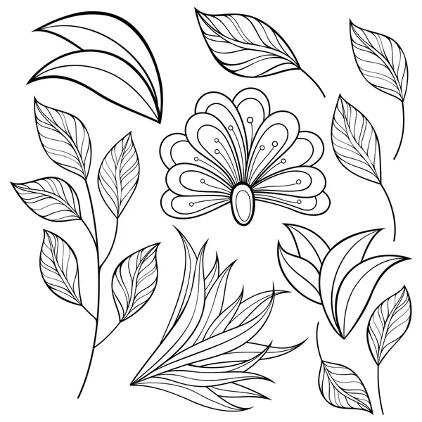 Contorno monocromo flor y hojas — Vector de stock