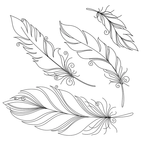 Monochrome Ornate Decorative Feather Stock Illustration