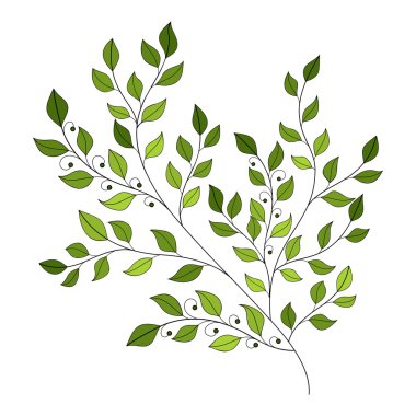 Renkli kontur yaprakları