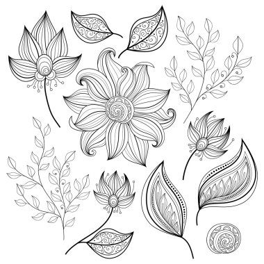Kontur çiçek ve yaprakları