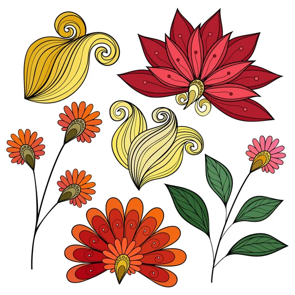 Conjunto de elementos de design floral — Vetor de Stock