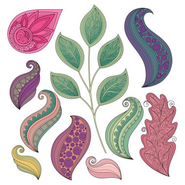 Renkli kontur çiçek ve yaprakları