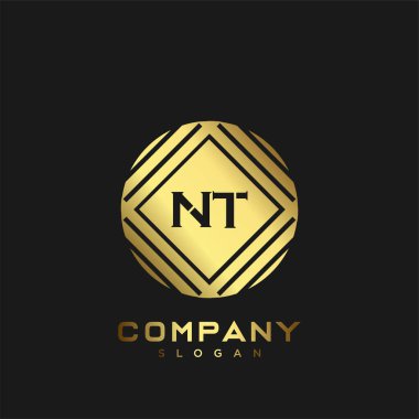 NT Premium harflerinin baş harflerinin logosu. Minimalist sembol vektör tasarımı. Lüks logosu.