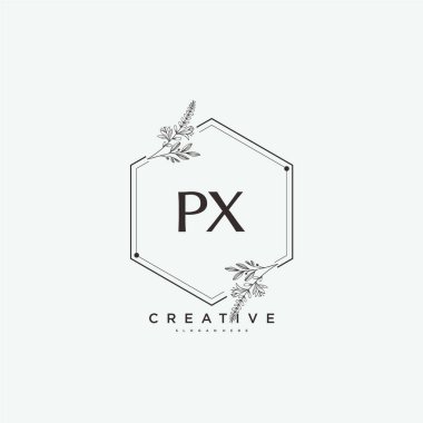 PX Beauty vektör ilk logo sanat, el yazısı ilk imza, düğün, moda, mücevher, butik, çiçek ve botanik herhangi bir şirket veya işletme için yaratıcı şablon ile.