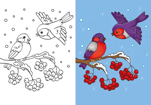 Bullfinches dalda oturan boyama kitabı