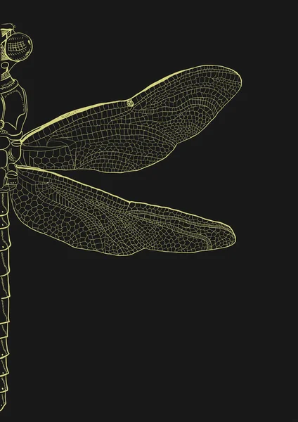 Gouden Dragonfly op zwart — Stockvector