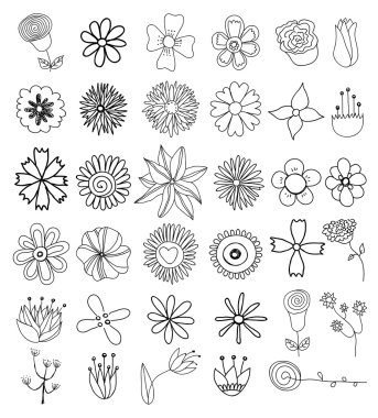 Çiçekler karalamalar kümesi 