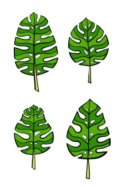 Beyaz yeşil yapraklar 