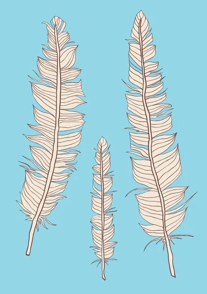 Hand drawn feathers — Stock Vector