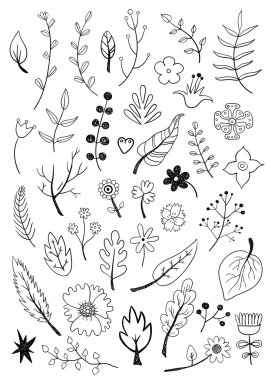 siyah çiçek öğeleri