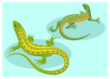 Mavi arka planda sarı çizgili yeşil bir kertenkele. Kertenkeleler oturuyor. Sürüngenler