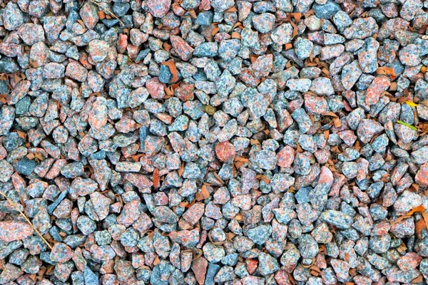 Granit Chips Grus Gräsmattan Parken Design Staden — Stockfoto