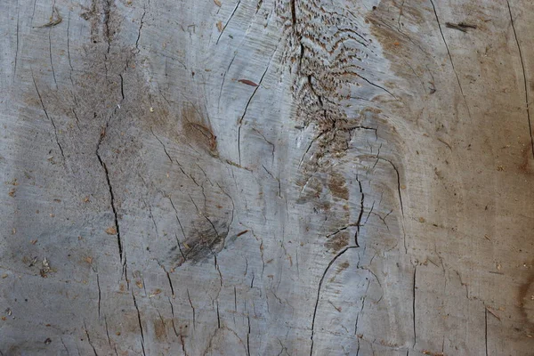 Künstlerische Holzparkett Holz Textur Ansicht Hintergrund — Stockfoto