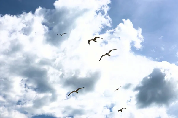 Meerblick Hintergrund Wellen Meer Angeln Urlaub Auf Den Kanarischen Inseln — Stockfoto