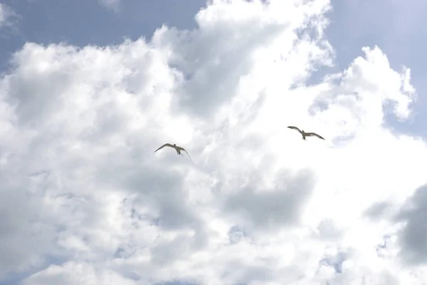 Meerblick Hintergrund Wellen Meer Angeln Urlaub Auf Den Kanarischen Inseln — Stockfoto