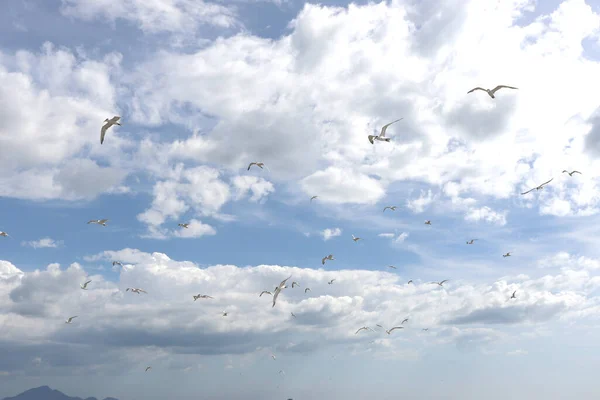 Vista Mar Fundo Ondas Oceano Pesca Feriados Nas Ilhas Canárias — Fotografia de Stock