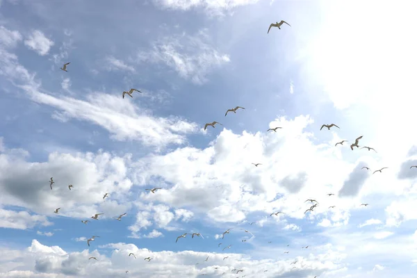 Meerblick Hintergrund Wellen Meer Angeln Urlaub Auf Den Kanarischen Inseln — Stockfoto