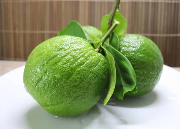 Grüne Saftige Orangen Auf Einem Zweig Mit Blättern — Stockfoto
