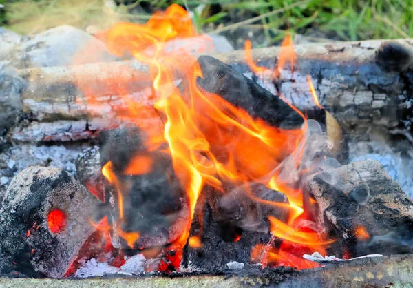 Falò Brucia Carboni Ardenti Barbecue — Foto Stock