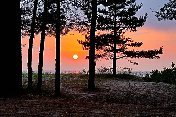 Magnifique Coucher Soleil Sur Les Rives Golfe Finlande — Photo