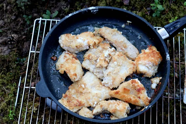 Kemping Przyrodzie Grillowane Jedzenie Lesie Nad Jeziorem — Zdjęcie stockowe