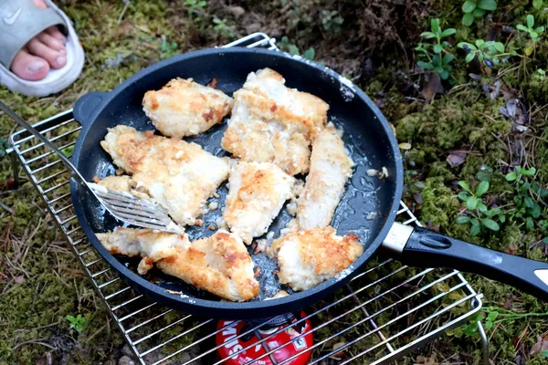 Kemping Przyrodzie Grillowane Jedzenie Lesie Nad Jeziorem — Zdjęcie stockowe