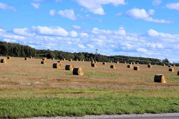 Autumn landscape outside the city, collecting hay on the field