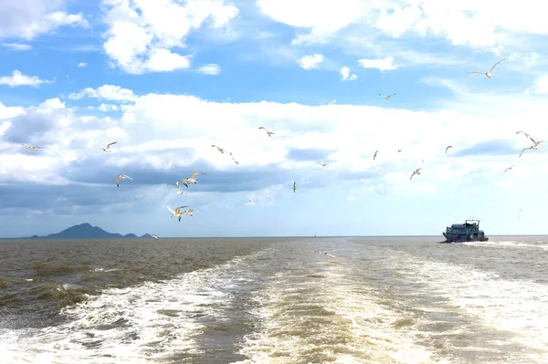 Olas Océano Cielo Pájaros Las Nubes —  Fotos de Stock