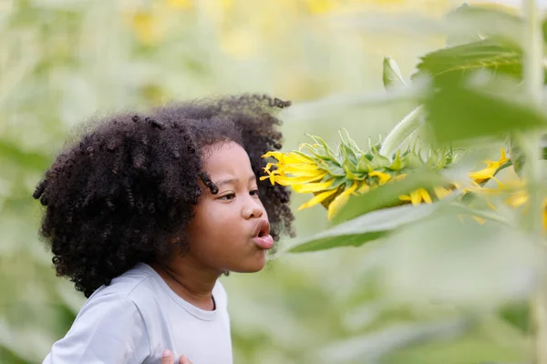 Pequena Menina Cabelo Encaracolado Afro Americano Interessado Semente Fresca Campo — Fotografia de Stock