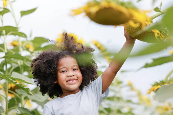 Kleine Afroamerikanische Lockenkopf Mädchen Interessiert Frischen Samen Von Sonnenblumenfeld — Stockfoto