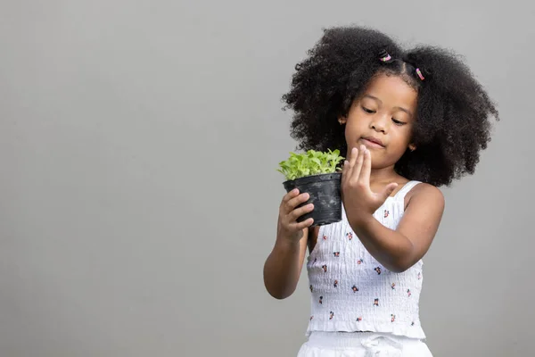 Dzieciństwo Zdrowie Koncepcja Mało Afroamerykanin Kręcone Włosy Dziewczyna Gospodarstwa Sprout — Zdjęcie stockowe