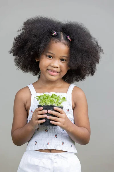 Concept Enfance Santé Petite Fille Frisée Afro Américaine Tenant Salade — Photo