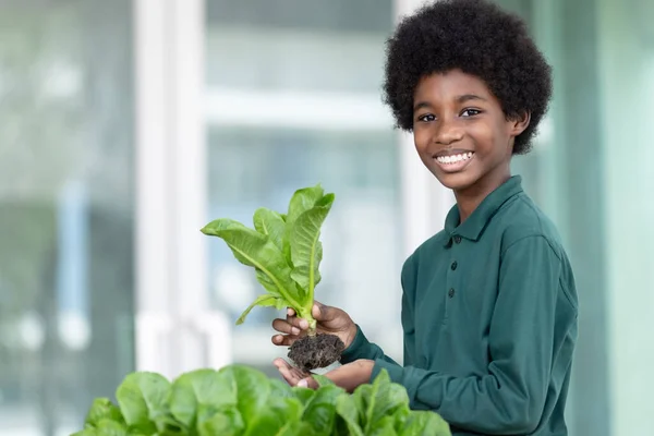 Afrikanische Jungen Zeigen Das Gemüse Das Sie Kürzlich Garten Ihrer — Stockfoto