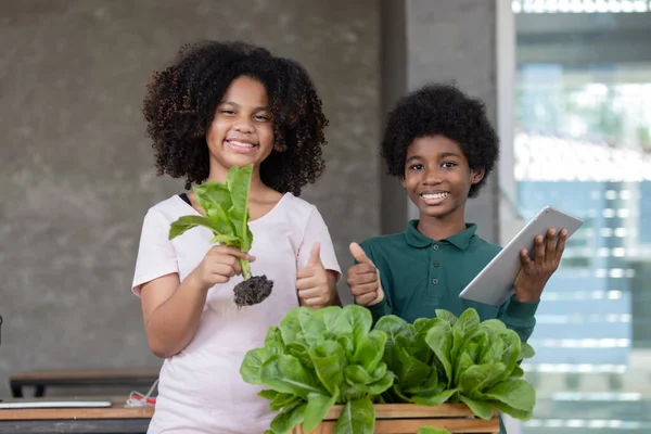 Egy Fekete Göndör Hajú Fiú Lány Megvitatják Értékesítési Zöldségek Online — Stock Fotó