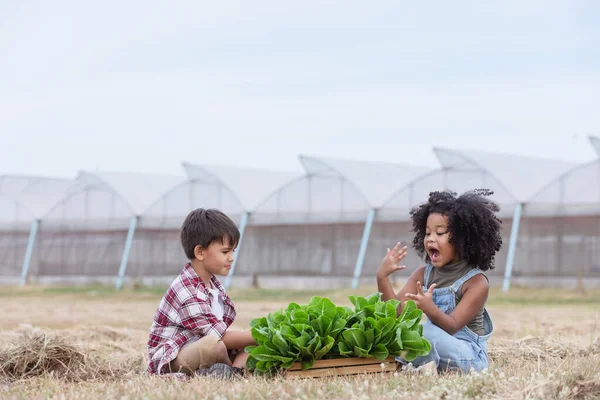 Les Enfants Multi Ethniques Vêtements Décontractés Lèvent Main Donne Après — Photo