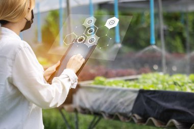 Tarım Teknolojisi Konsepti Tarım Alanında Tablet Kullanan Agronomist Yapay Zeka Öğrenme Teknolojisi 5G entegre edilmiş bir rapor okudu