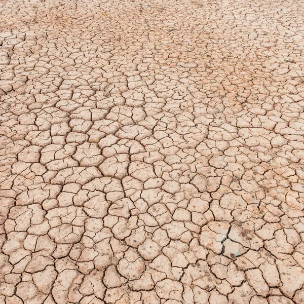 Soil crack texture background — Stock Photo, Image