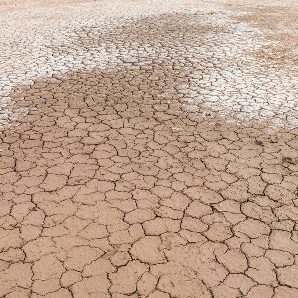 Soil crack texture background — Stock Photo, Image