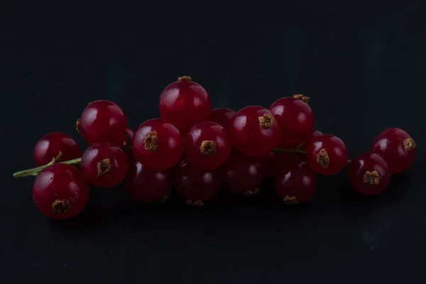 Red currant on black — Stock Photo, Image