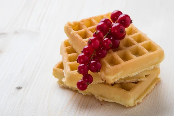 Kuş üzümü ile waffle — Stok fotoğraf