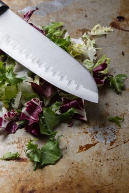 Çelik tabakta doğranmış marul.