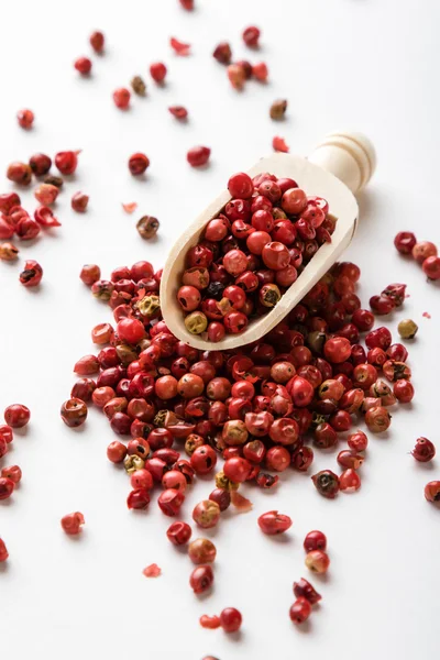 Semillas de pimienta roja — Foto de Stock