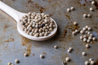 beyaz biber tohumları sac üzerinde 