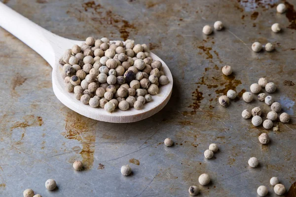 beyaz biber tohumları sac üzerinde 