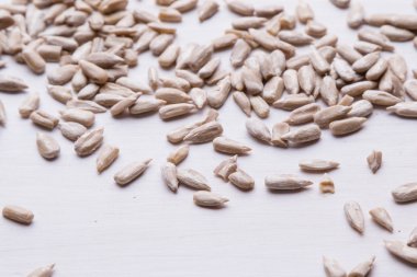 dövme ayçiçeği tohumu