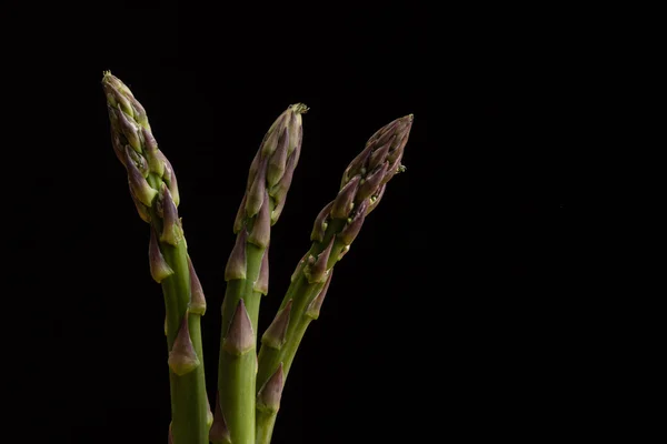 Asperges sur noir — Photo